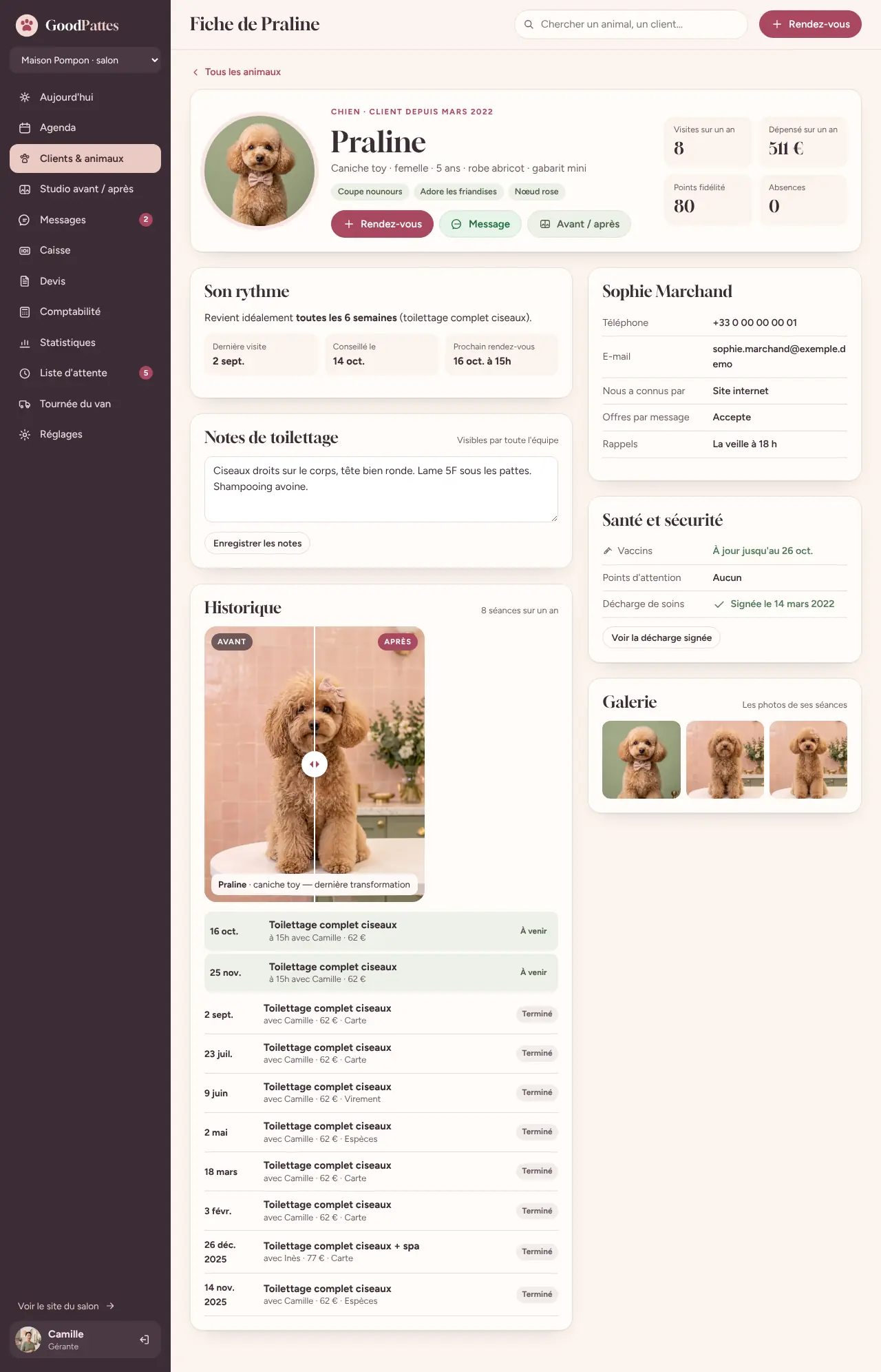 Capture du logiciel GoodPattes : la fiche d'un caniche, avec son rythme, ses notes de toilettage et son historique
