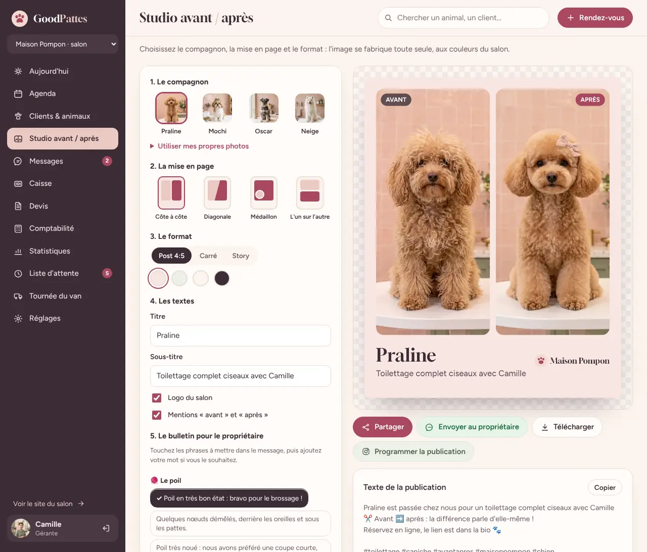 Capture du logiciel GoodPattes : le Studio avant / après qui compose l'image aux couleurs du salon